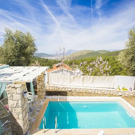 Pony Villa *