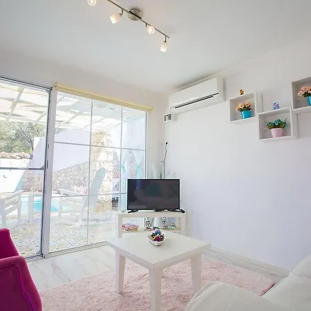 Pony Villa *